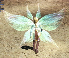 Spirit